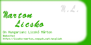 marton licsko business card